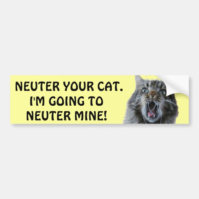 Sprid och Neuter katten. Skuggad Kattunge Bildekal (Framsidan)
