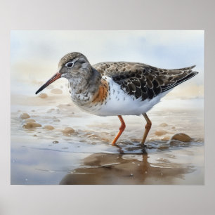 Sprid Poster av utskrift av sandpiper-fågelbild