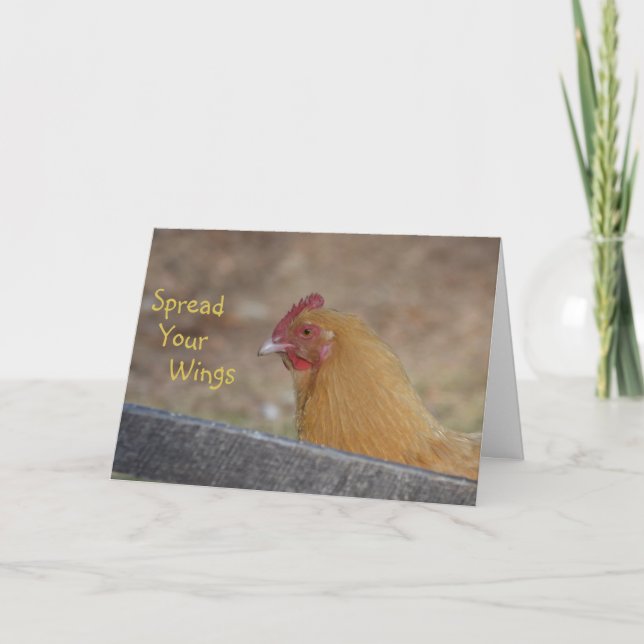 Sprid ut ditt Vingar Chicken Grattis på födelsedag Kort (Framsida)