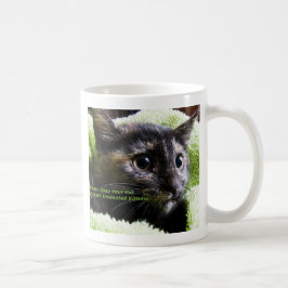 Sprid ut katten för att förhindra oönskade kattung kaffemugg