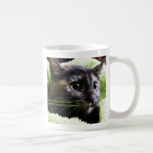 Sprid ut katten för att förhindra oönskade kattung kaffemugg