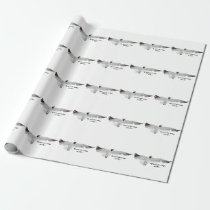 Sprid ut Vingar Presentpapper