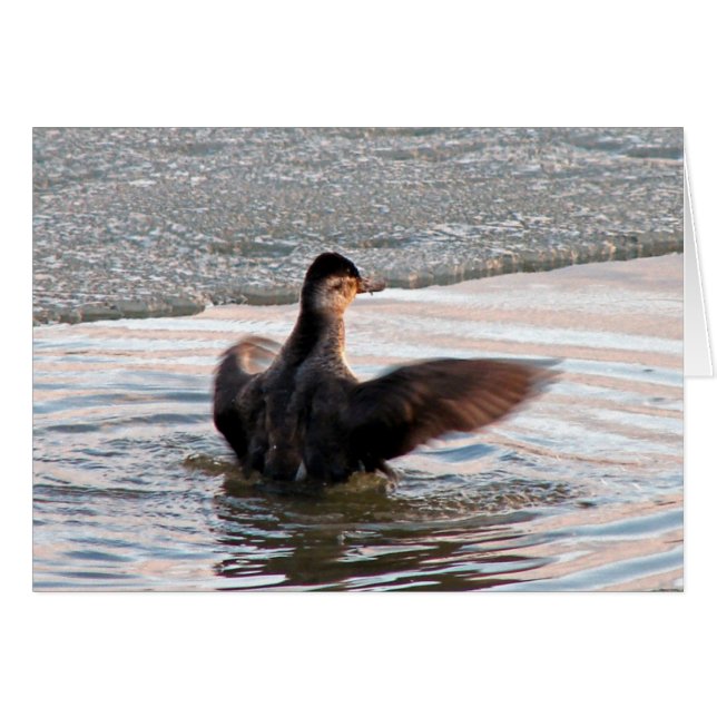 Sprid ut Vingarna Hälsningskort (Framsidan Horizontal)