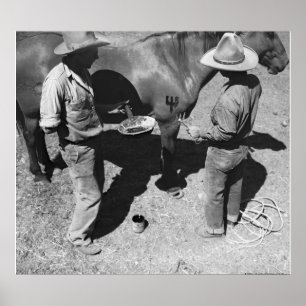 Sprida hästar med klaffmärke poster