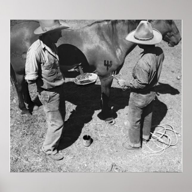 Sprida hästar med klaffmärke poster (Framsidan)