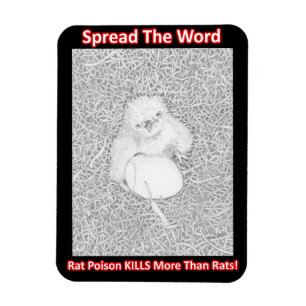 SPRIDA ORD RÅTTA POISON DÖDA SPARA WILDLIFE MAGNET