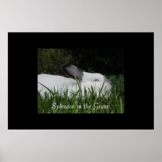 Spridare i Grass Poster