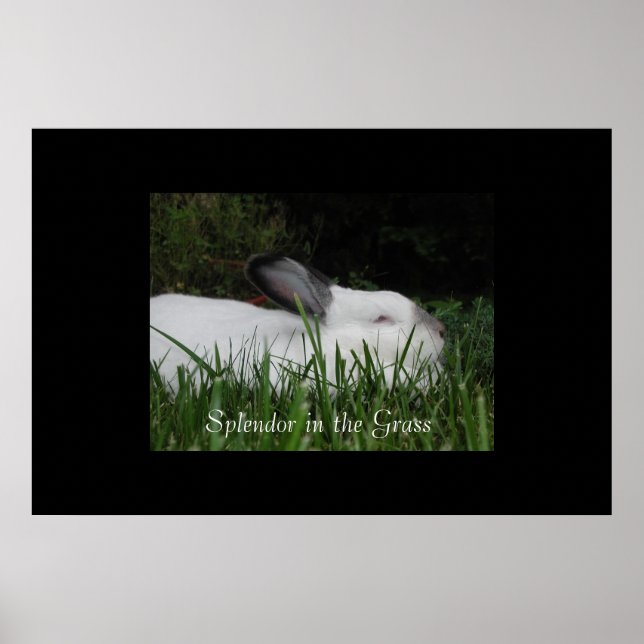Spridare i Grass Poster (Framsidan)