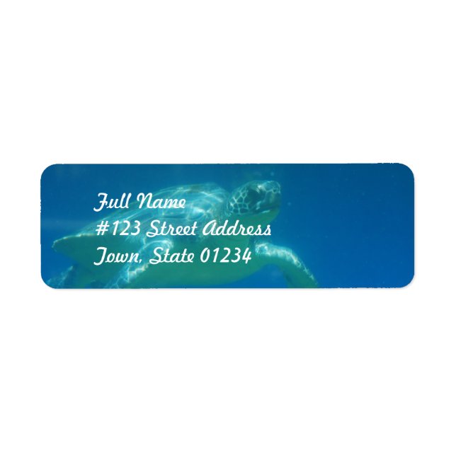 Spridningsetiketter för havssköldpadda Simma Returadress Etikett (Framsidan)