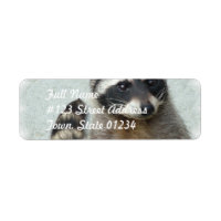 Spridningsetiketter för Ringed Raccoon