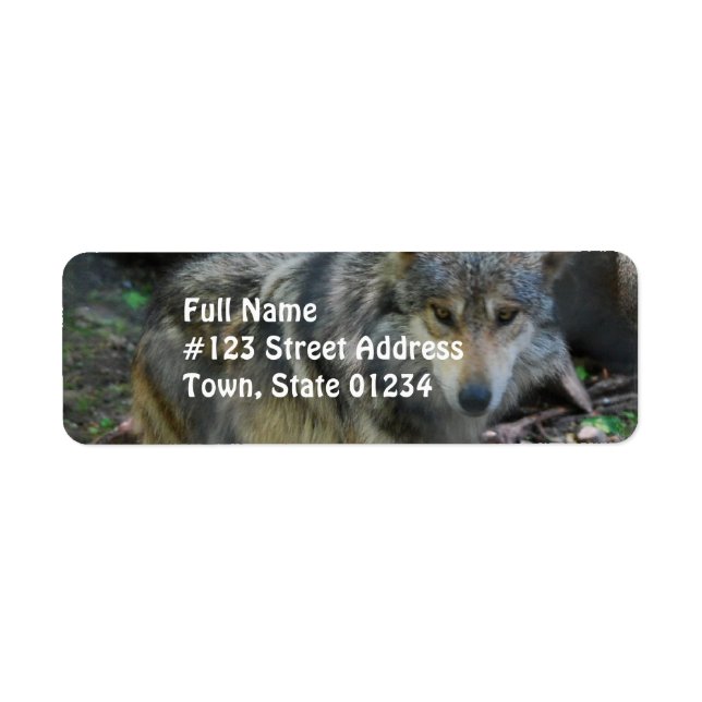 Spridningsetiketter för Varg Returadress Etikett (Framsidan)