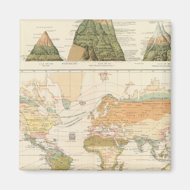 Spridningsvegetation Magnet (Framsidan)