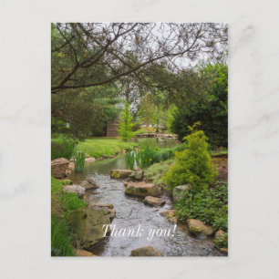 Spring Creek Beauty Vykort