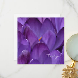 Spring Crocus Flower Photography Tack Kort