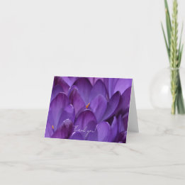 Spring Crocus Flower Photography Tack Kort