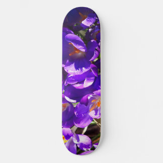 SPRING CROCUS MINI SKATEBOARD BRÄDA 18,5 CM