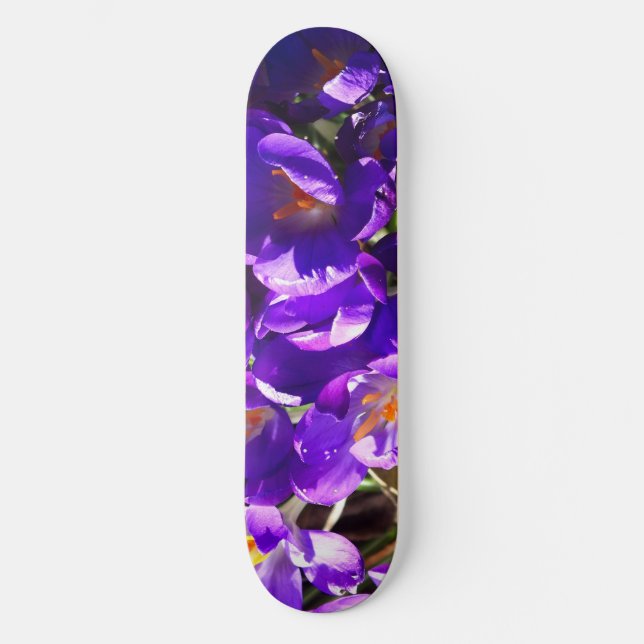 SPRING CROCUS MINI SKATEBOARD BRÄDA 18,5 CM (Framsida)