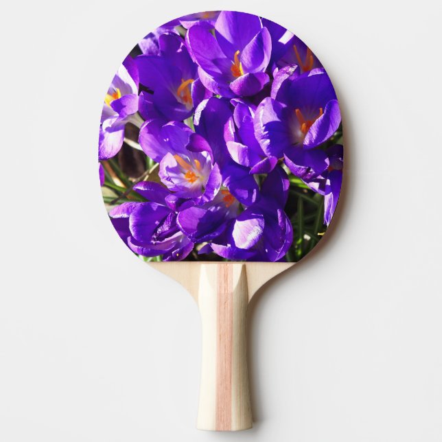 SPRING CROCUS PINGISRACKET (Framsidan)