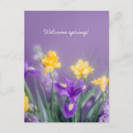 Spring Floral Greeting, pastel aesthetic Vykort