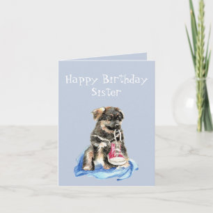 Spring för valpen för födelsedagsysterspringer kort