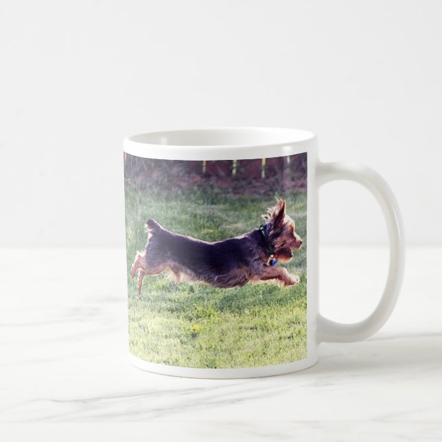 Spring för Yorkshire Terrier Kaffemugg (Höger)