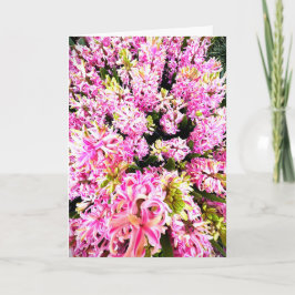 Spring Hyacinth Blank Card Inbjudan