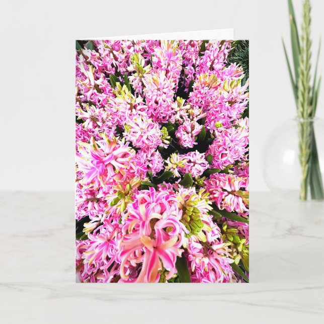 Spring Hyacinth Blank Card Inbjudan (Framsida)