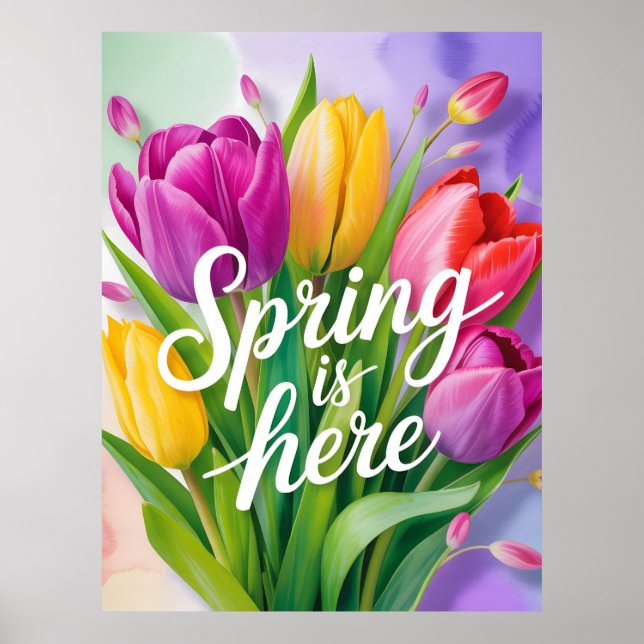 "Spring is Here" Tulip Bouquet Illustration Poster (Framsidan)