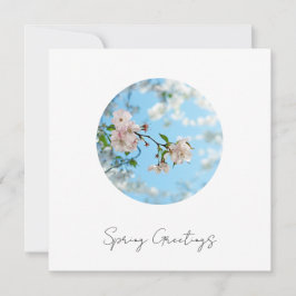 Spring Is in the Air -  Julkort