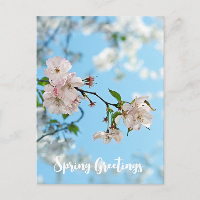 Spring Is in the Air -  Vykort (Framsida)