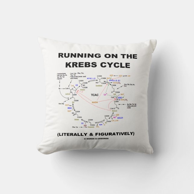 Spring på Krebsen cyklar (vetenskapshumorn) Kudde (Framsida)