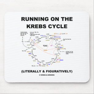 Spring på Krebsen cyklar (vetenskapshumorn) Musmatta