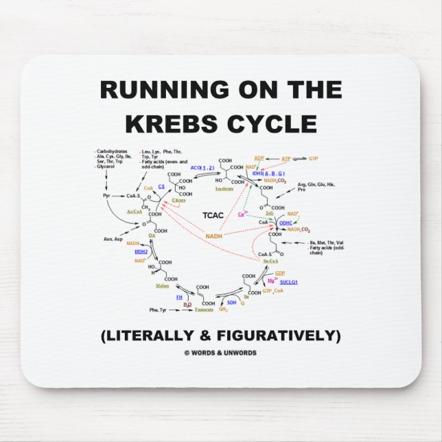 Spring på Krebsen cyklar (vetenskapshumorn) Musmatta (Framsidan)