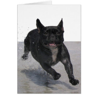 Spring på stranden, Paris Merille Hälsningskort