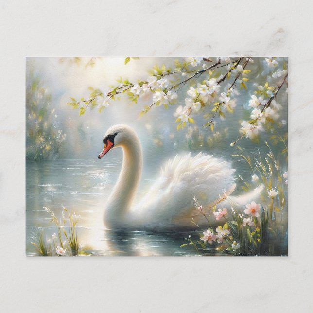 Spring Swan Swimming On Lake Blossoms Vykort (Framsida)