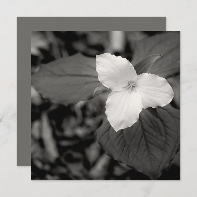 Spring Trillium Black and White  Anteckningskort (Fram/baksida)