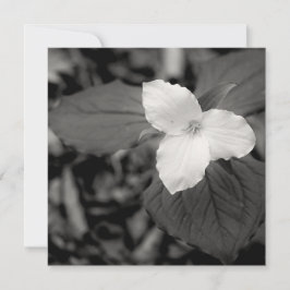 Spring Trillium Black and White  Anteckningskort