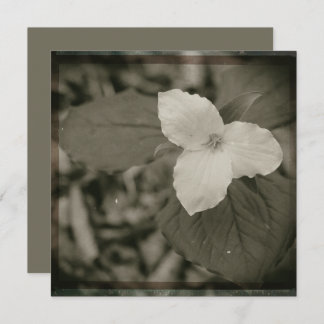 Spring Trillium Collodion Filter Anteckningskort