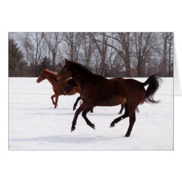 Springa för b-Zensnö Hälsningskort