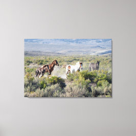 Springa Free Forever Canvastryck