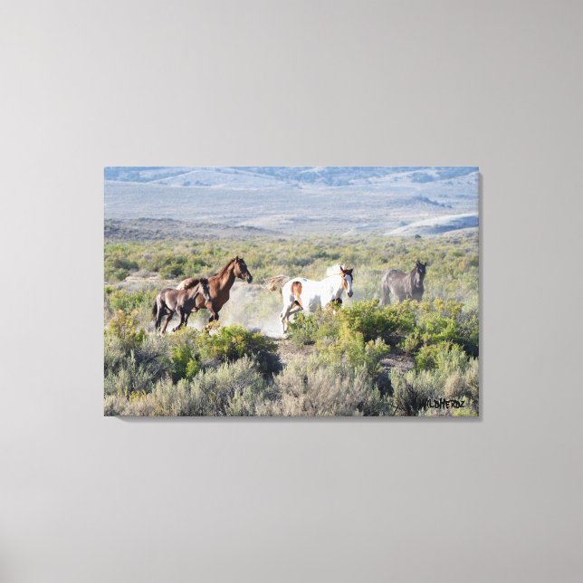 Springa Free Forever Canvastryck (Framsida)