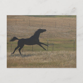 Springa med Vindens vykort