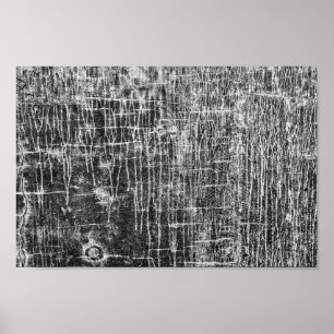 springa poster