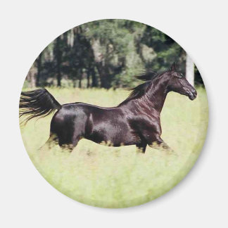 springa som vinden magnet