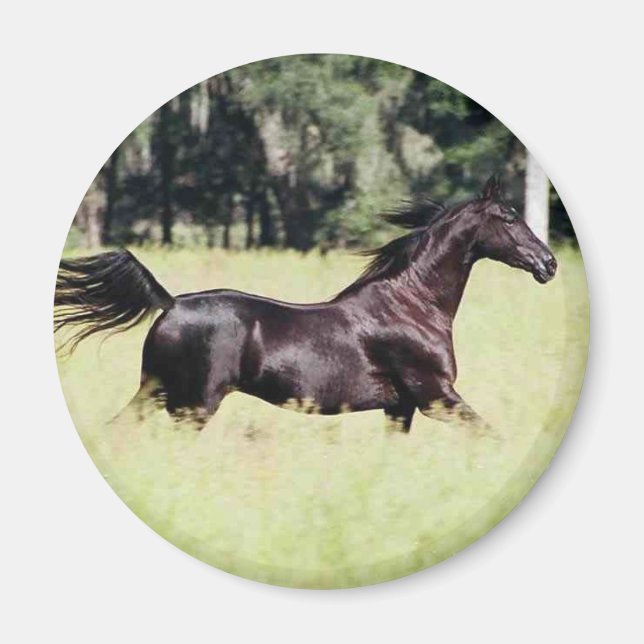 springa som vinden magnet (Framsidan)