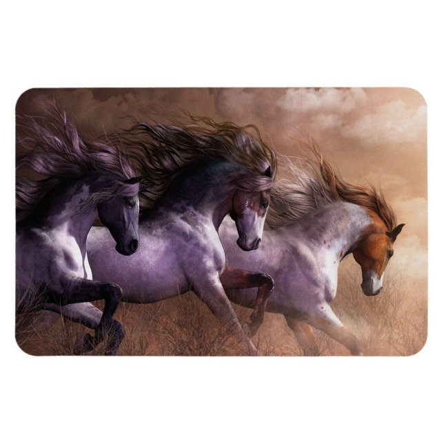 Springa till Freedom Premium Flexi Magnet (Horisontell)