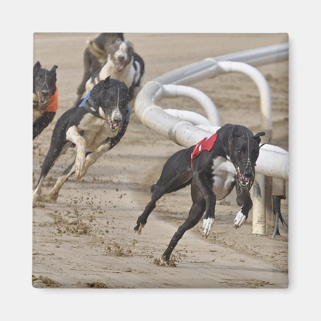 Springa till linjen magnet (Framsidan)