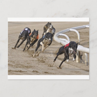 Springa till linjen vykort