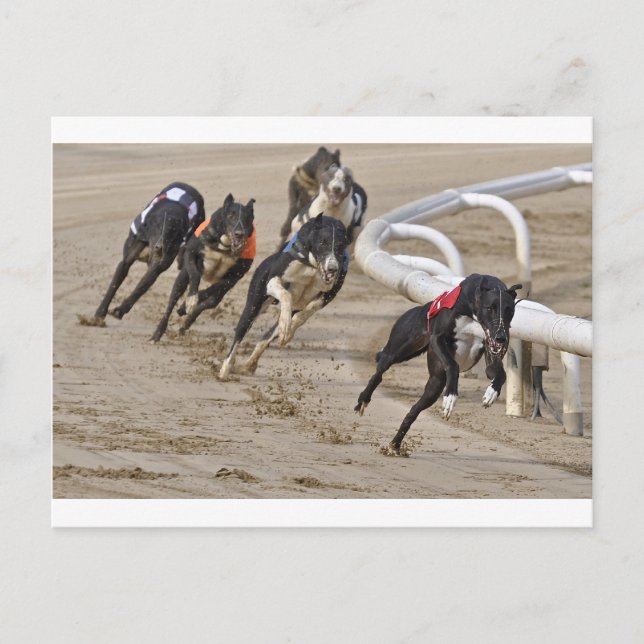 Springa till linjen vykort (Framsida)