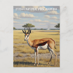 Springbok Etosha nationalpark Namibia Travel Vykort